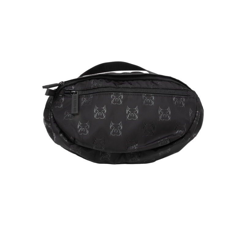 flat lay fanny pack front